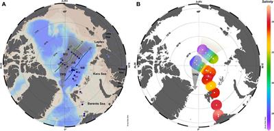 Natural copper-binding ligands in the Arctic Ocean. The influence of the Transpolar Drift (GEOTRACES GN04)
